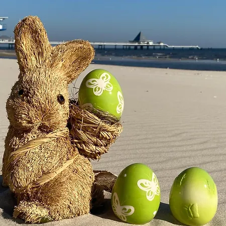 Neue Ernst - 4 Apartamento Heringsdorf (Usedom)